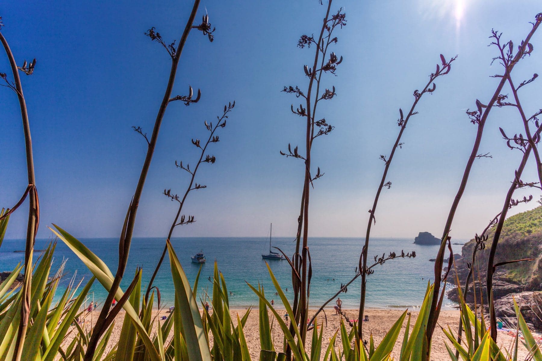 Herm to Become a Carbon-neutral Haven