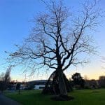 Things to do in Dublin