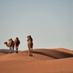 The Beauty of Morocco's Landscapes: From Deserts to Mountains