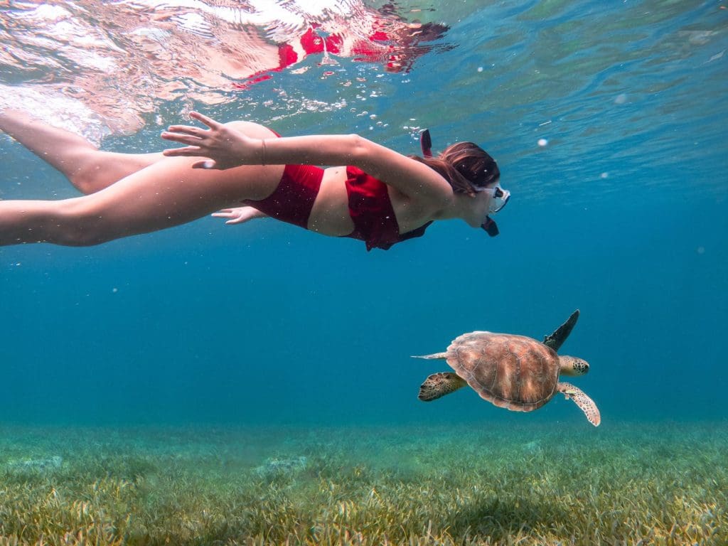 Snorkelling on Culebra Puerto Rico