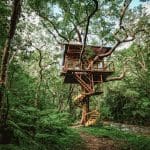Wooden treehouse (1)Credit Treeful Treehouse