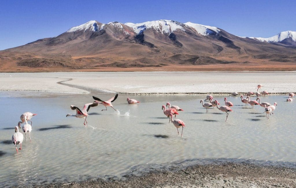 Bolivia