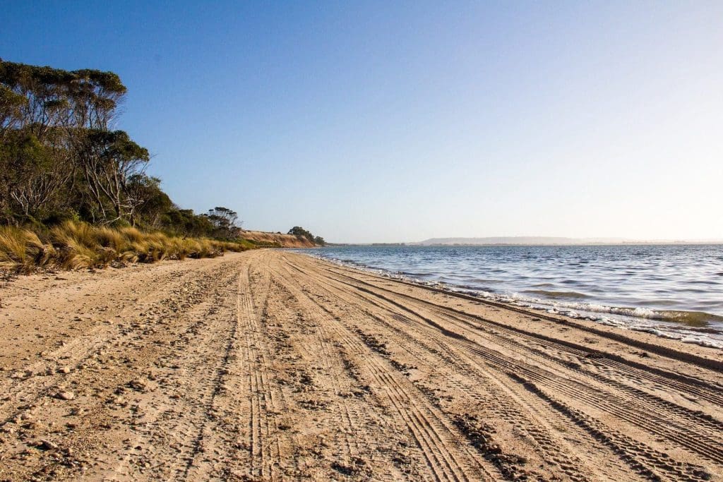 Kangaroos Island Adelaide South Australia Pixabay