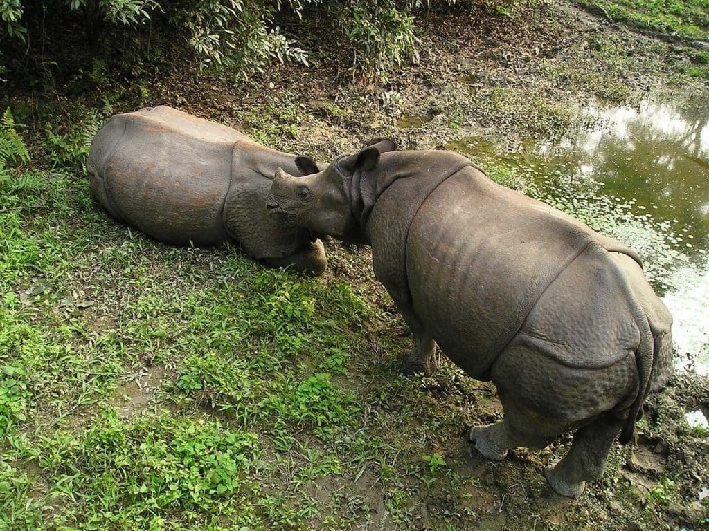 Chitwan National Park