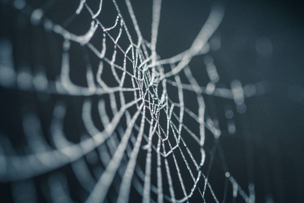 Link Building