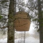 Things to do in Bergen