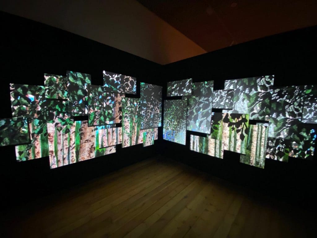 Video at the Kode art museums