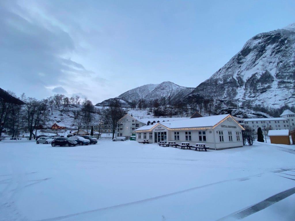 Flam in the snow