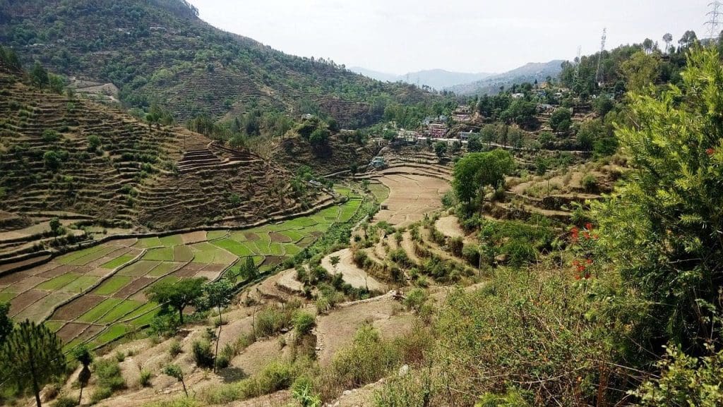 Trek in India Himmalayas