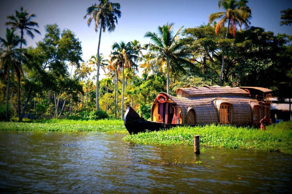 Things to do in India, Kerala, Pixabay