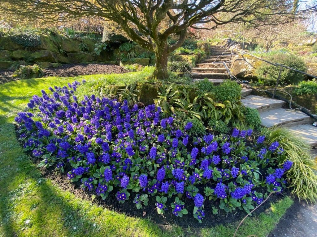 Hever Castle Gardens