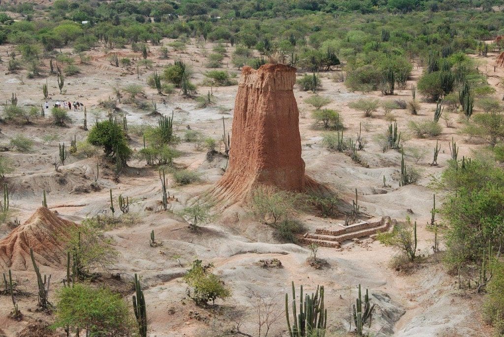 Things to do in Colombia: Tatacoa Desert