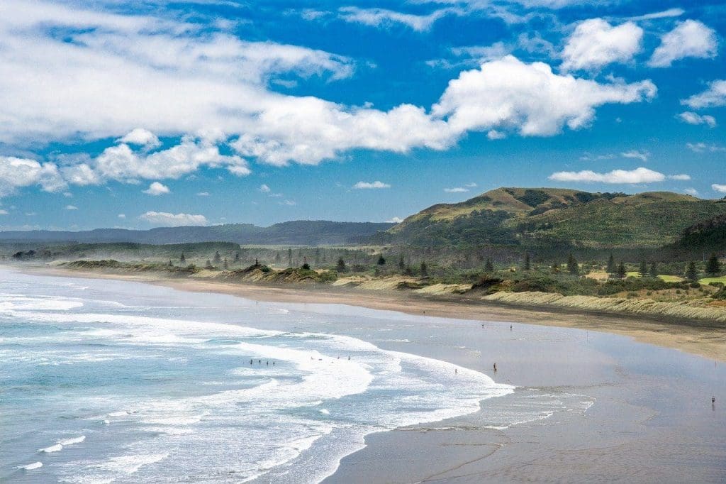 Muriwai Beach New Zealand Pixabay
