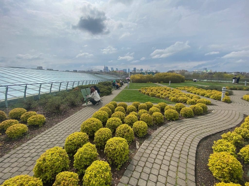 Warsaw University Library rooftop