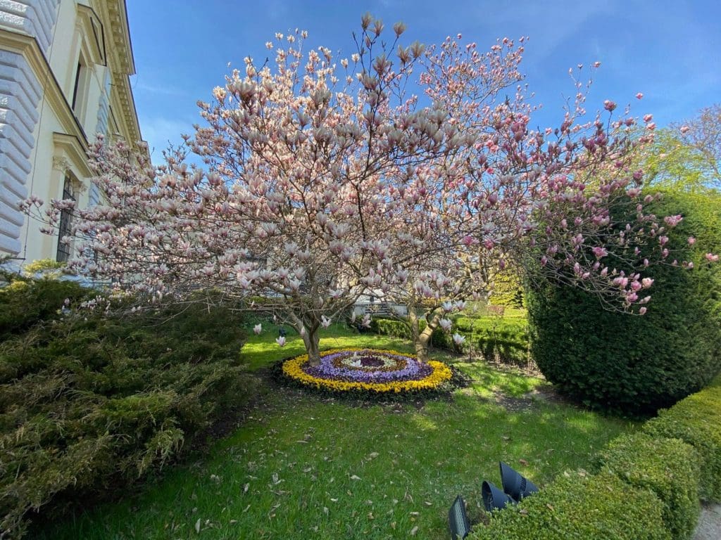 Gardens at Herbst Palace