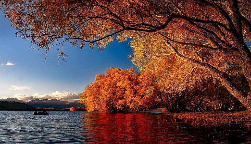 Lake Tekapo, New Zealand, Pixabay