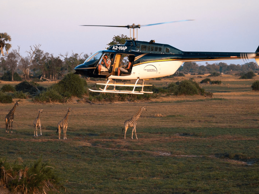 Heli Day Trip