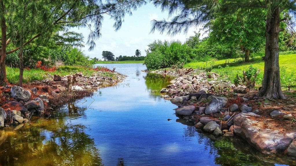 golf trip in the Caribbean