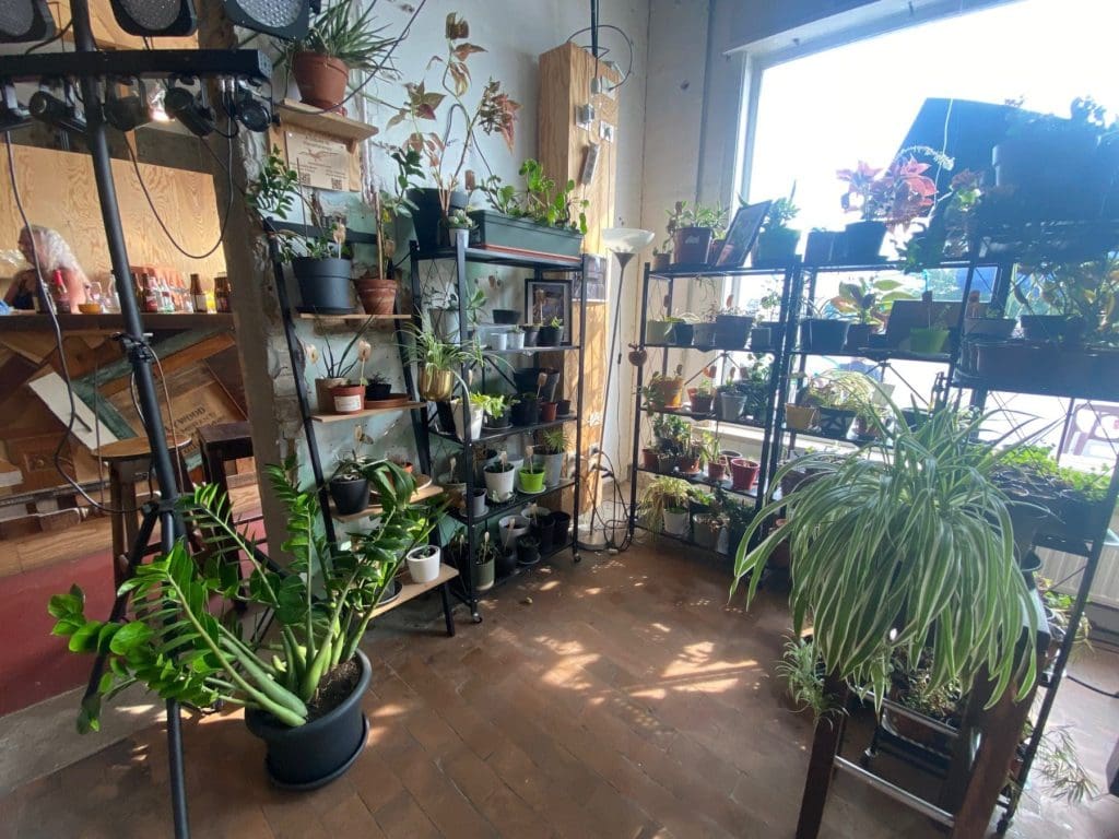 The Plant Library at O666