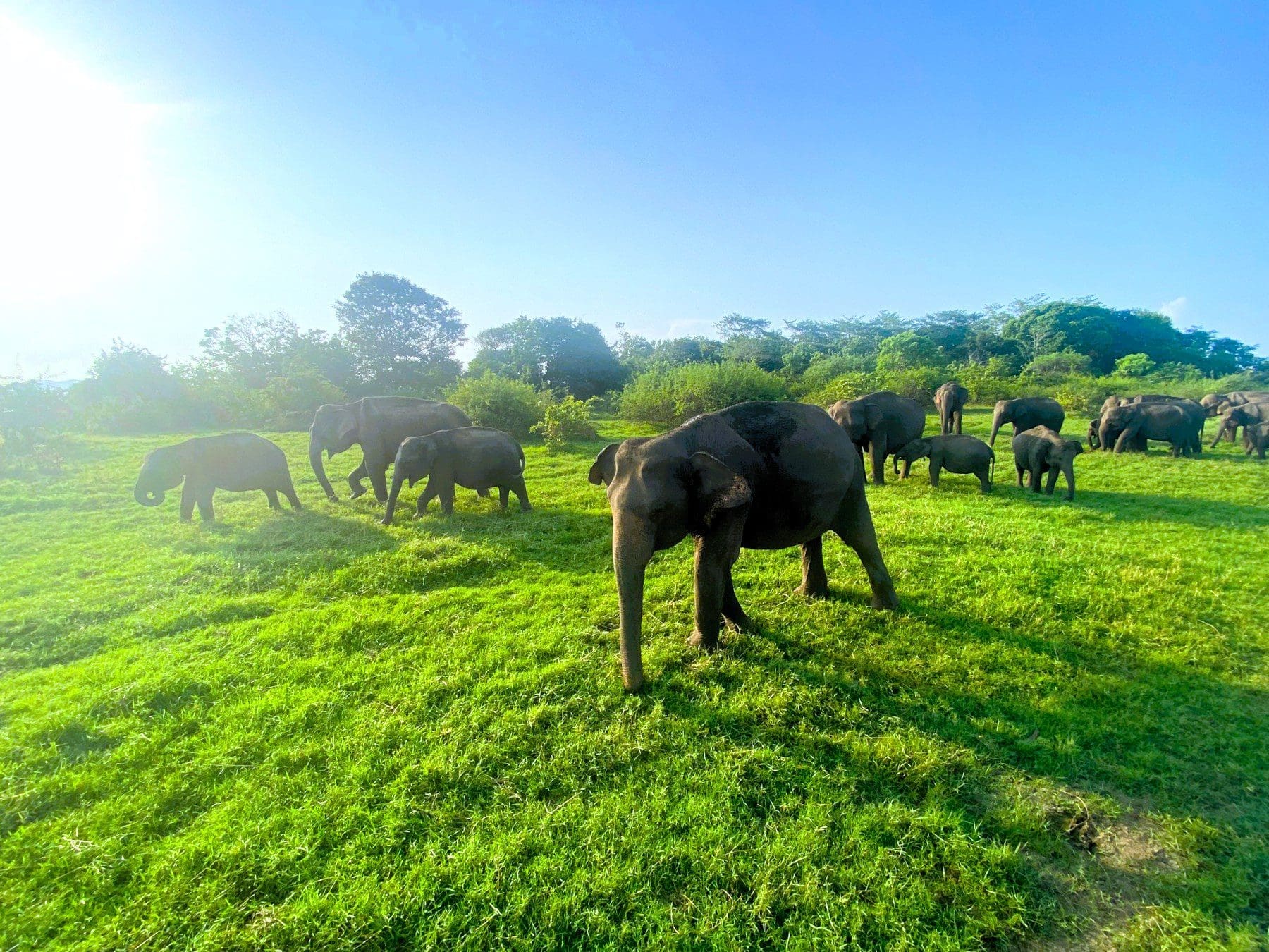 A Selection of the Top Jungle Holiday Destinations Travel Begins at 40