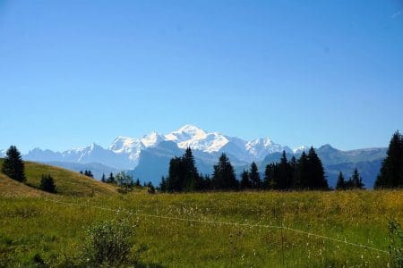 Cycling Thrills in Les Gets France
