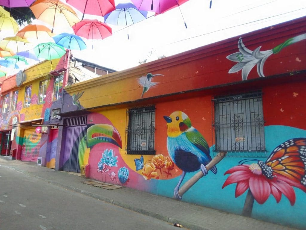 Pereira Colombia Street art