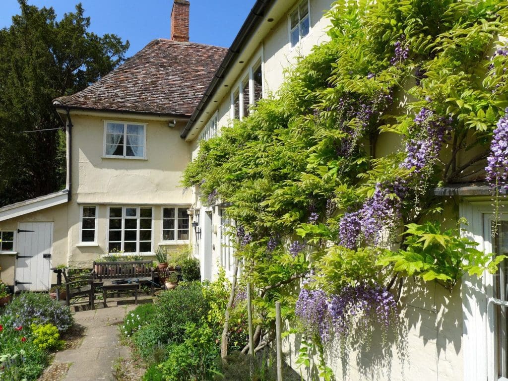 Wisteria house