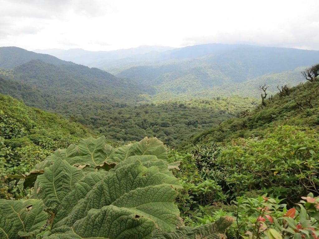 Costa Rica Monteverde Pixabay