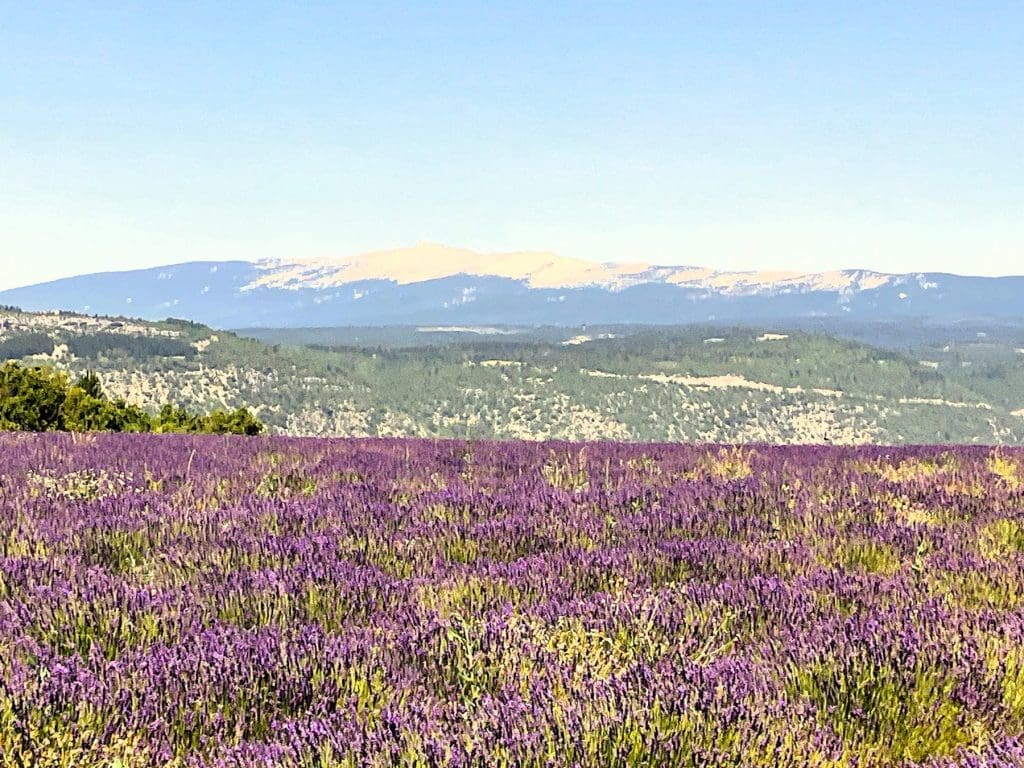 The beautiful Provence countryside, photo by Roger and Eileen.