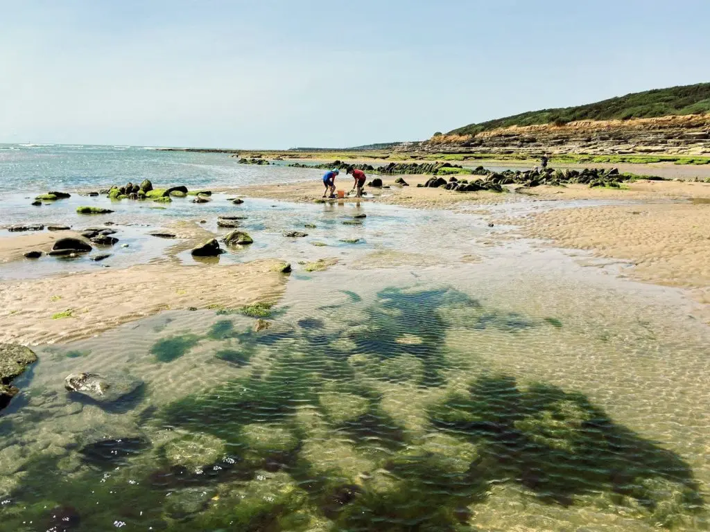 Northern France Road Trip