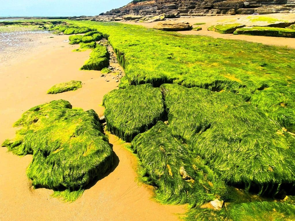 Still mesmerising Veillon beach