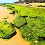 Still mesmerising Veillon beach