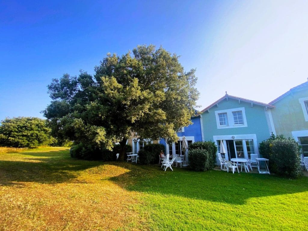 Our tree and house at Residence Le Domaine de Bourgenay