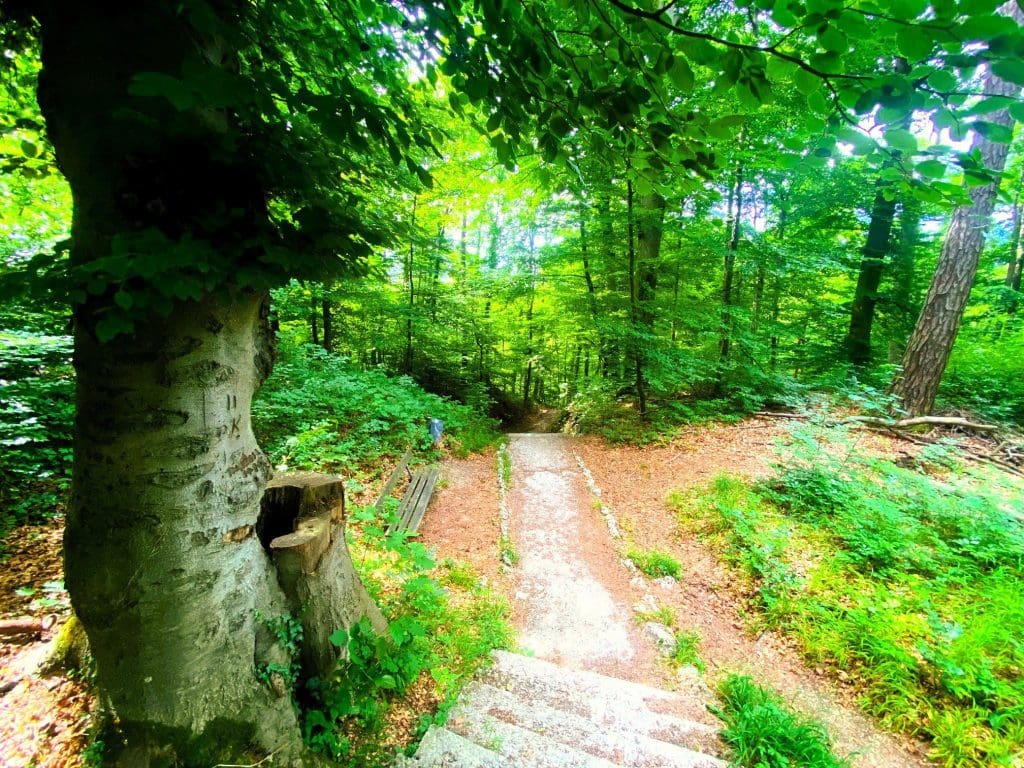 Walking in the Kapuzinerberg