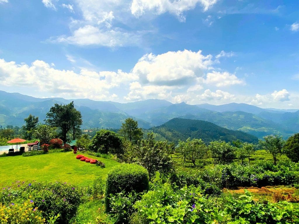 Sri Lanka Tea Plantation