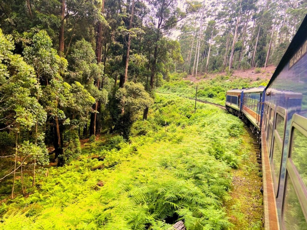 Sri Lanka Train