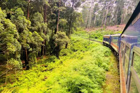 The Best Ways to Make the Journey as Memorable as the Destination