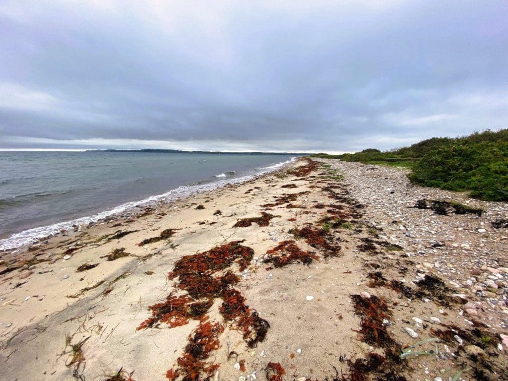 The beach at Tunø