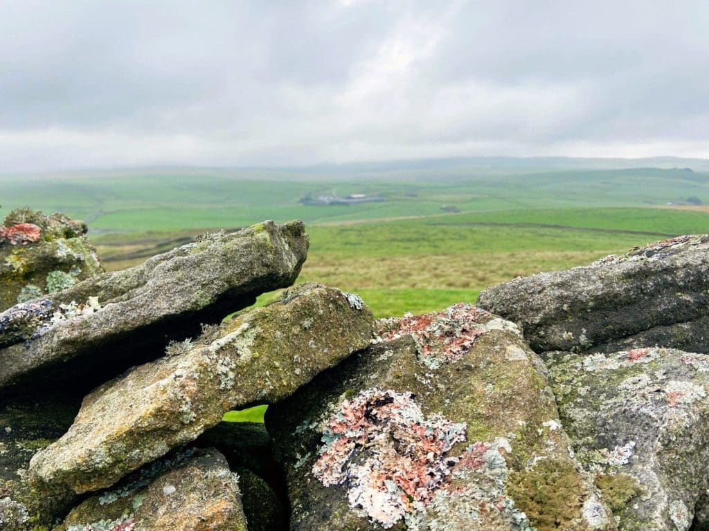Guided Walking in the Yorkshire Dales