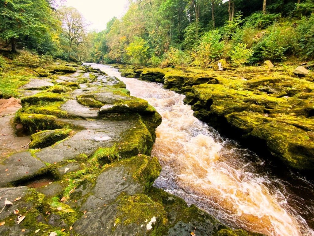 The Strid