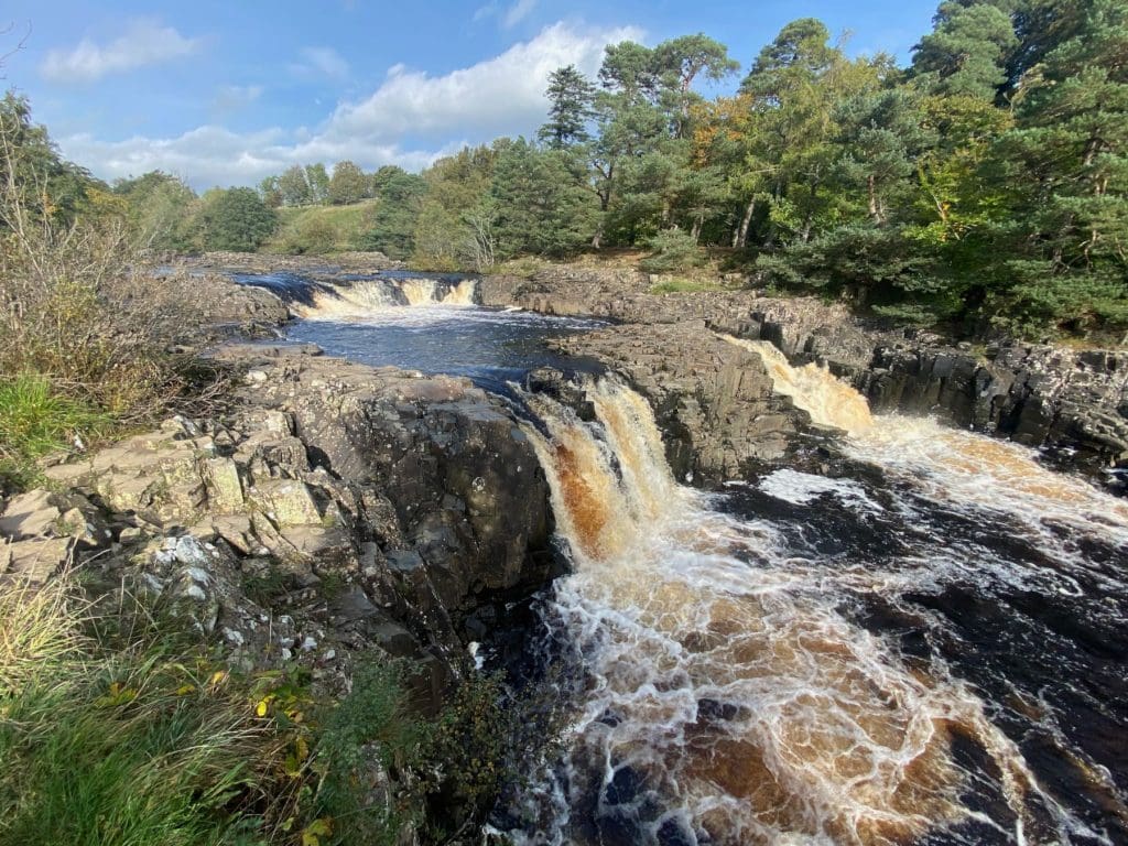 Low Force