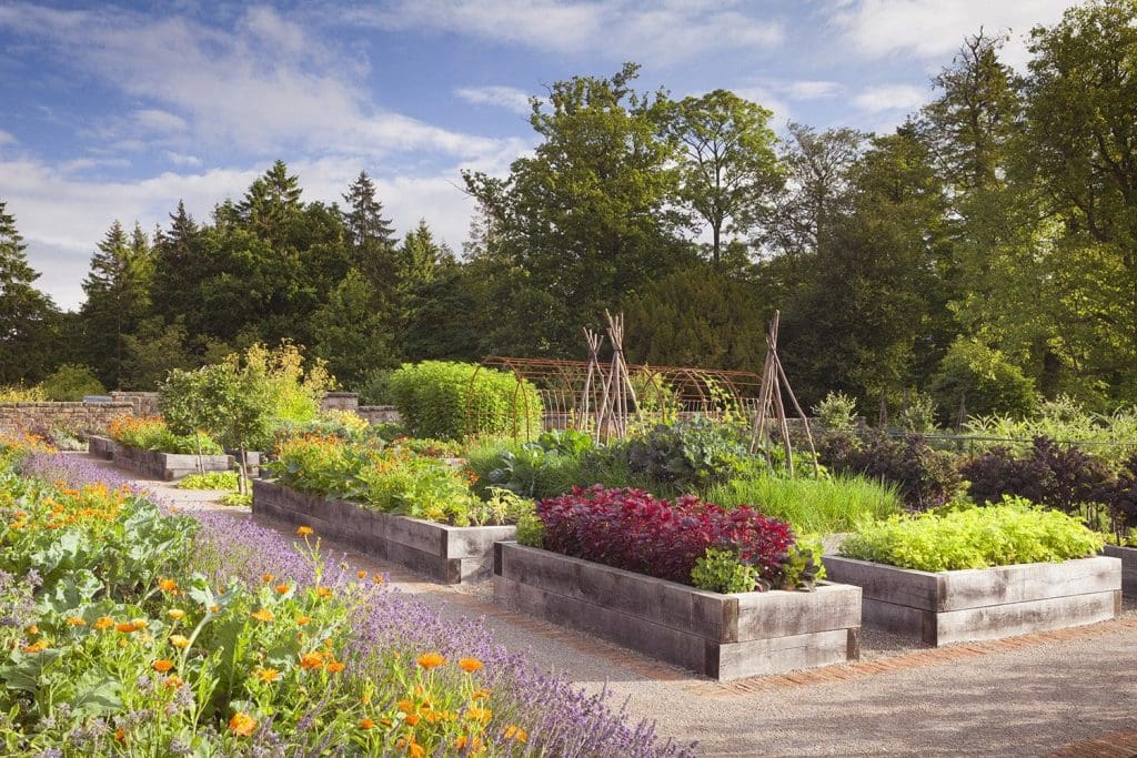 The Kitchen Garden at Rudding Park, North Yorkshire, UK. Summer, July 2015.