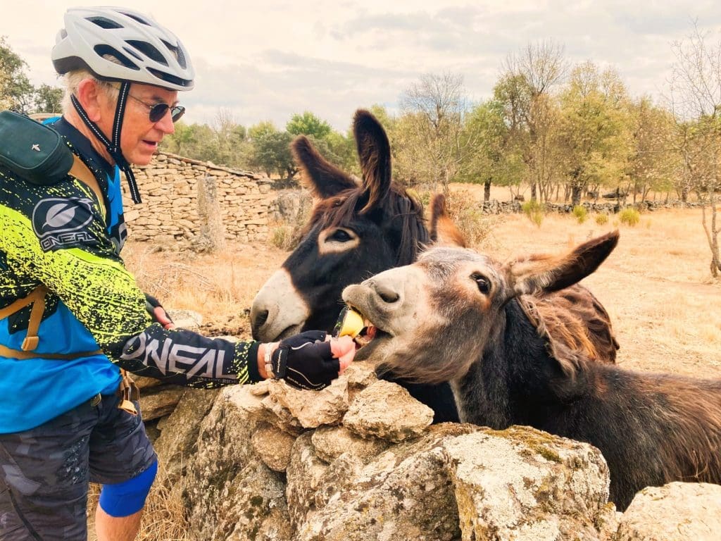 Meeting the locals en route from Miranda do Douro IMG_2590