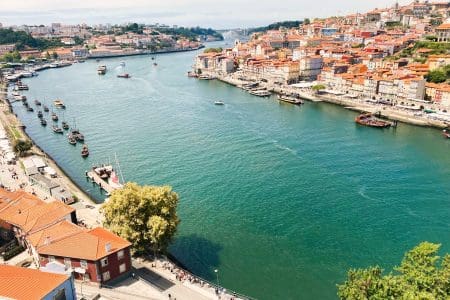 Take Me to the River: E-Biking in the Douro Valley