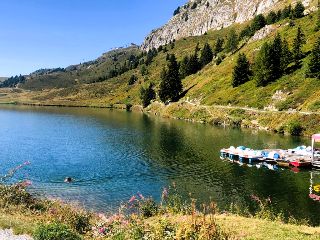 Swimming in Bettmeralpsee Lake