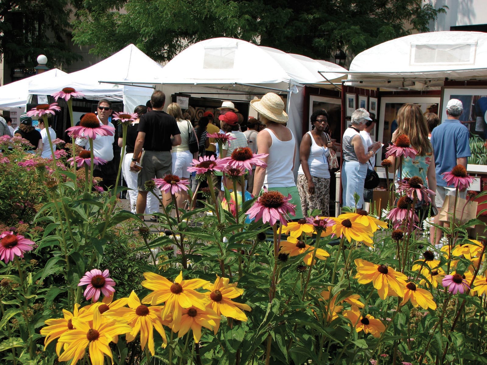 Cherry Creek Arts Festival Credit VISIT DENVER