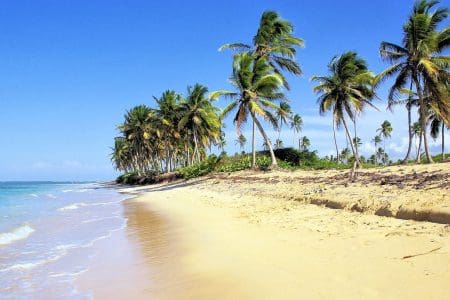 E ticket Dominican Republic Process Made Simple