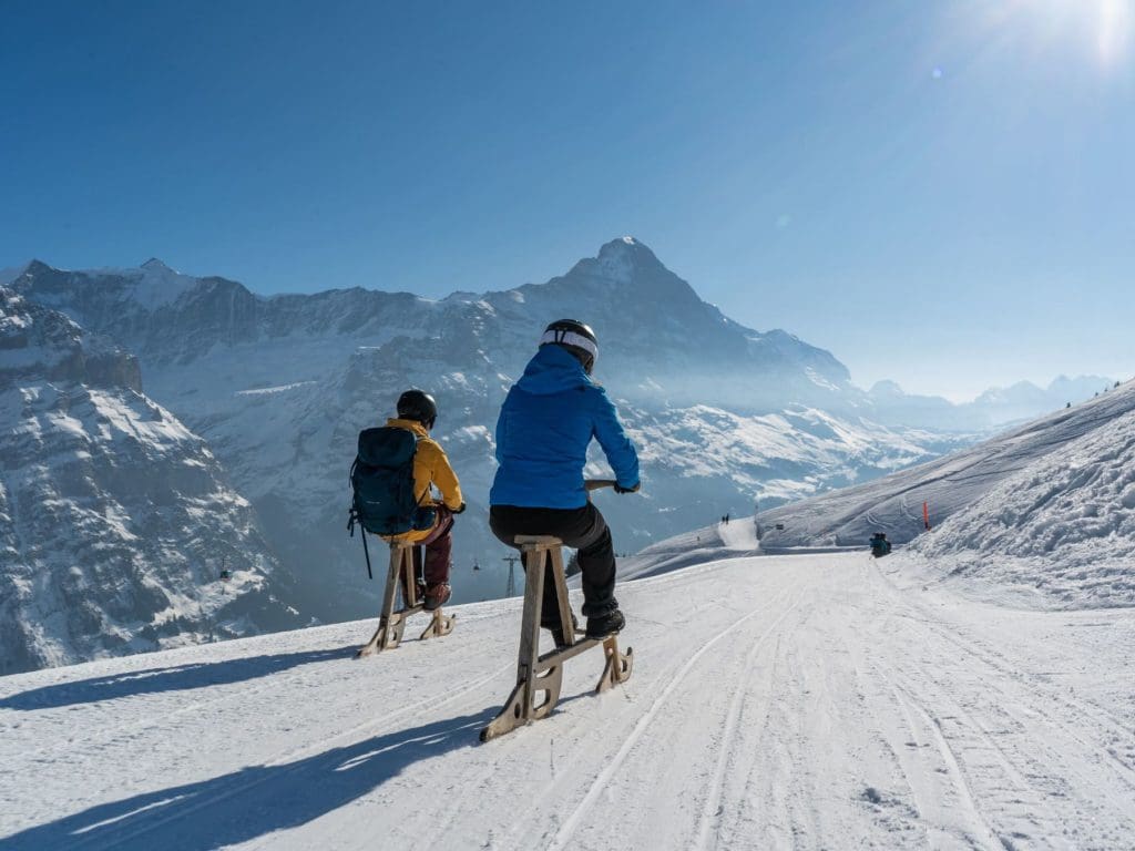 Velogemel Grindelwald