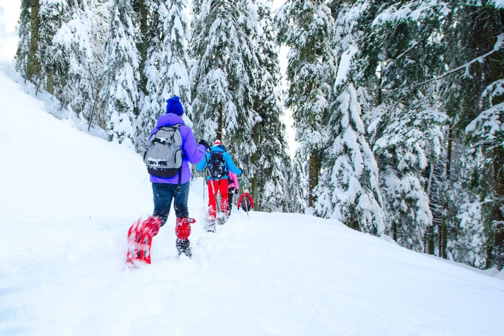 Snowshoeing for Beginners