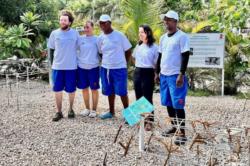 Coral Gardening TUI Sea the Change Project Bávaro Beach, Punta Cana in the Dominican Republic